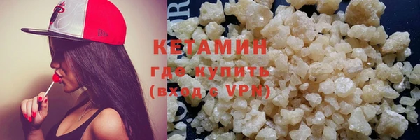 МДПВ Пересвет