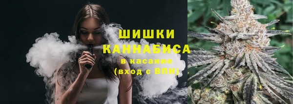 МДПВ Пересвет