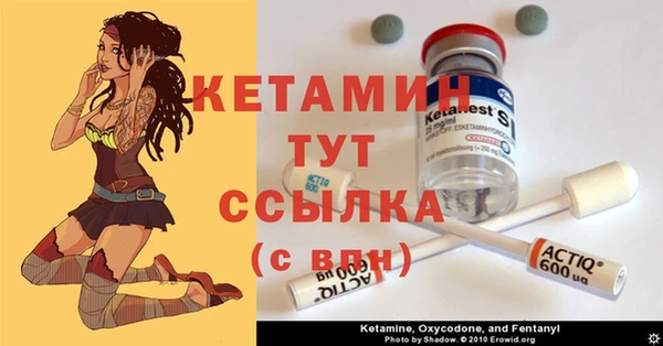 МДПВ Пересвет