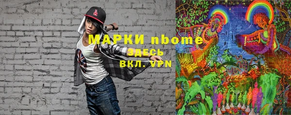 МДПВ Пересвет