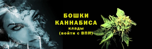 эйфоретик Покачи