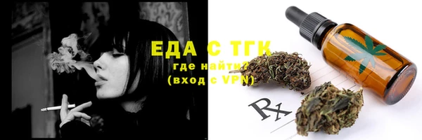МДПВ Пересвет