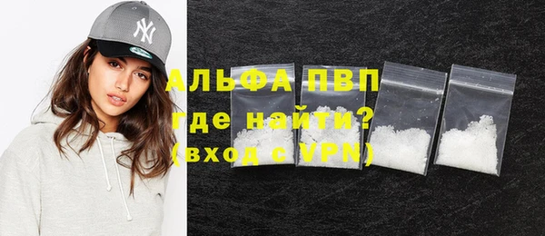 эйфоретик Покачи