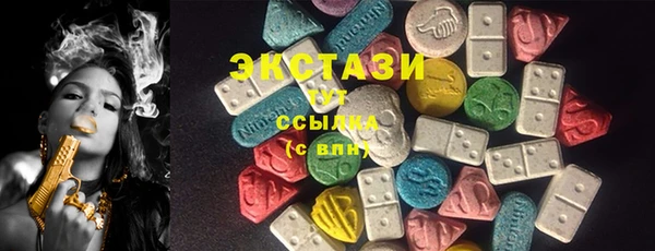 МДПВ Пересвет