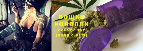 эйфоретик Покачи