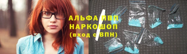 МДПВ Пересвет